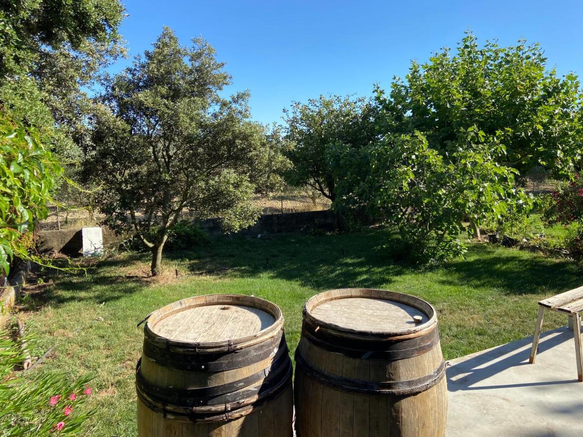 Gite A La Ferme Clansayes Exterior foto